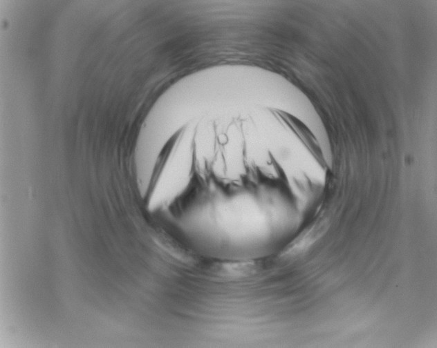 X0000069400188200606091751