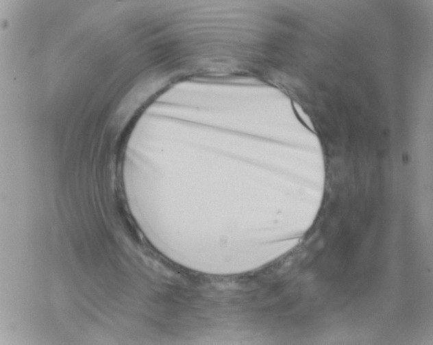 X0000069400194200606091750