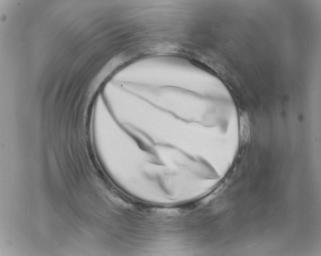 X0000069400195200606091750