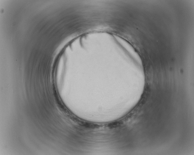 X0000069400196200606091750