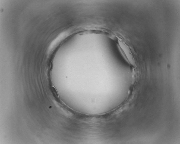 X0000069400197200606091750