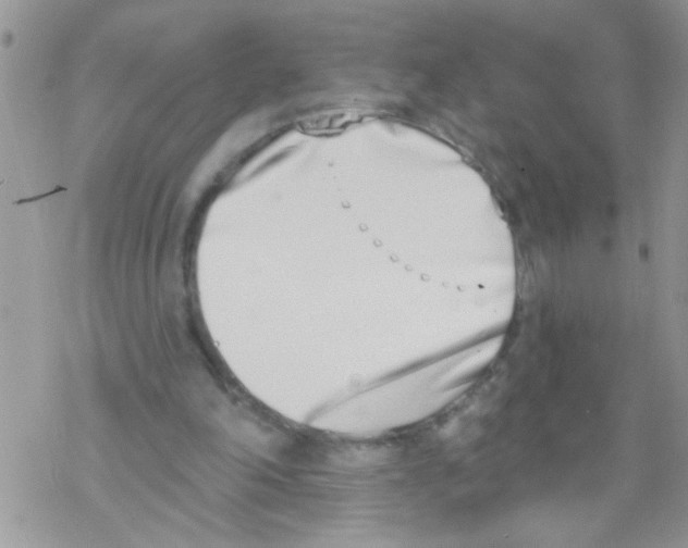 X0000069400198200606091750