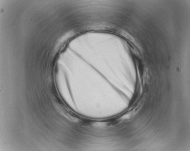 X0000069400203200606091750