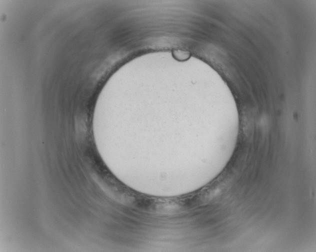 X0000069400208200606091750