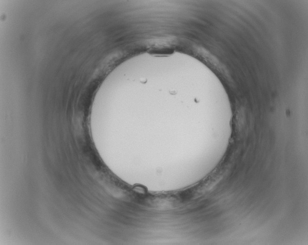 X0000069400209200606091750