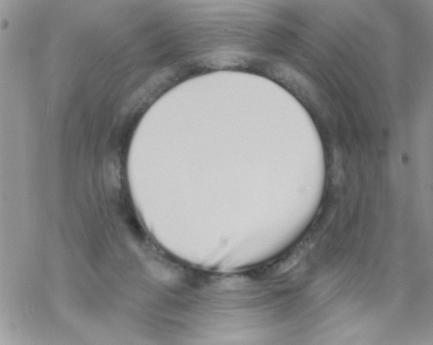 X0000069400210200606091750