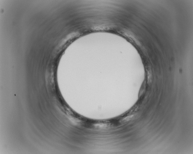 X0000069400211200606091750