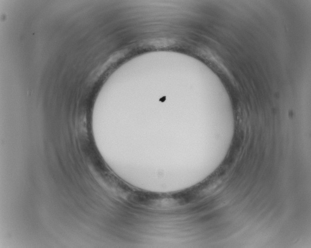 X0000069400212200606091750