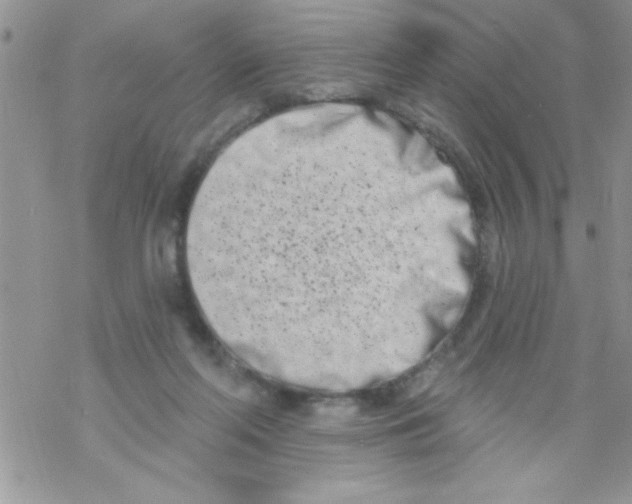 X0000069400214200606091750