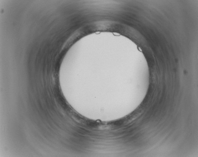 X0000069400216200606091750