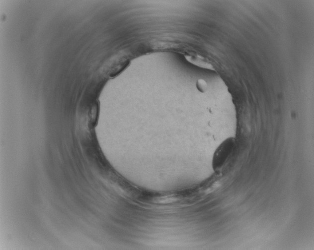 X0000069400219200606091749