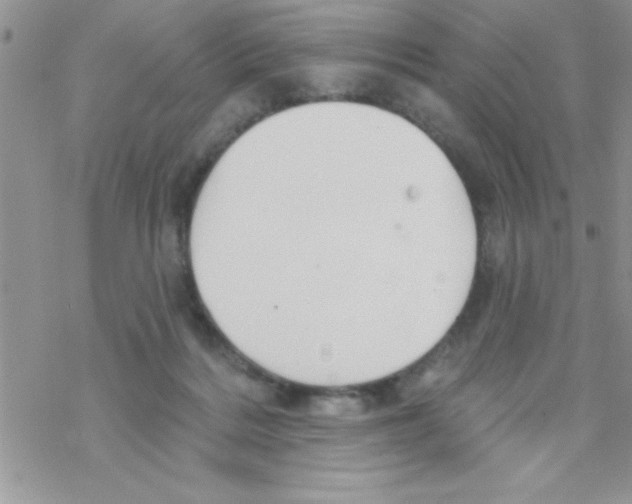 X0000069400220200606091749