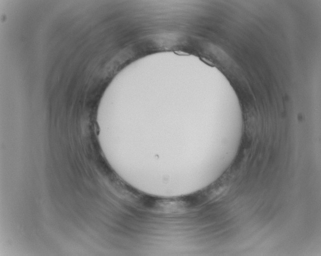 X0000069400221200606091749