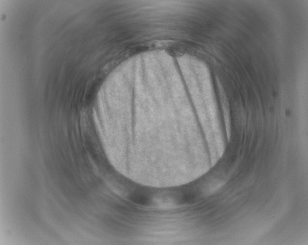 X0000069400222200606091749