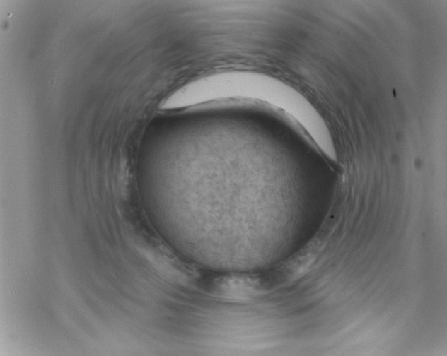 X0000069400223200606091749