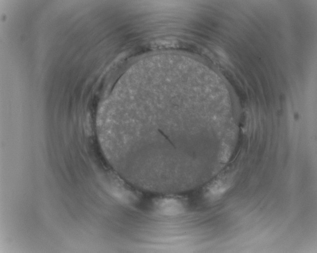 X0000069400224200606091749