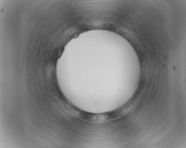 X0000069400225200606091749