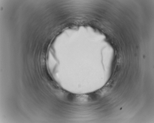 X0000069400226200606091749