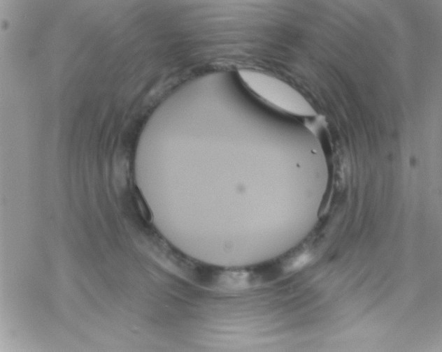 X0000069400227200606091749