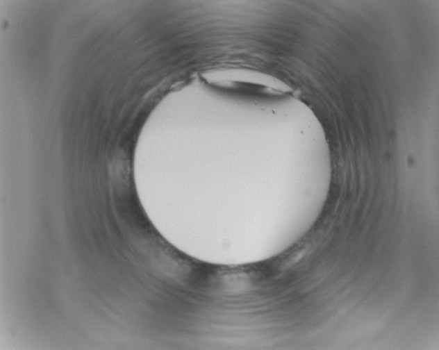 X0000069400228200606091749