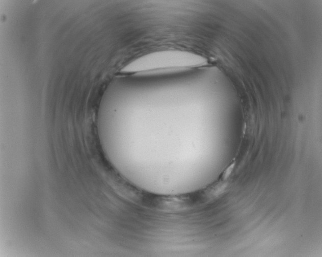 X0000069400229200606091749