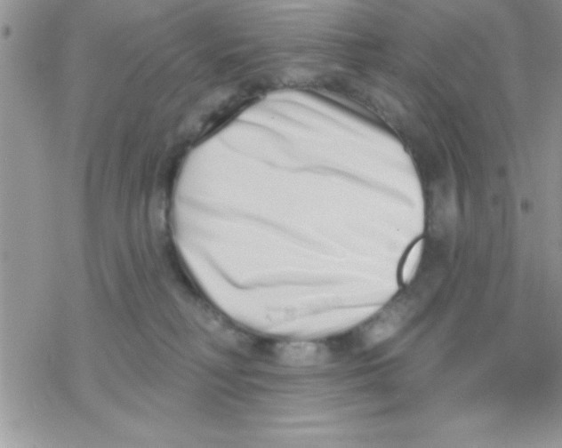 X0000069400230200606091749