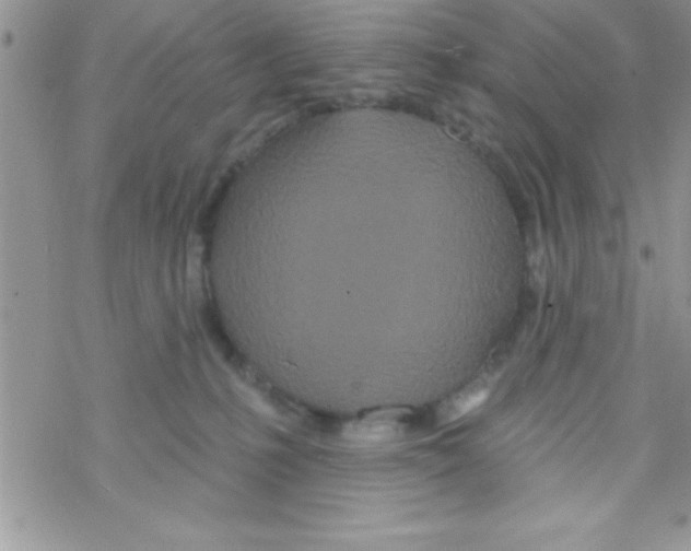 X0000069400231200606091749