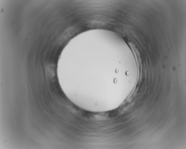 X0000069400232200606091749