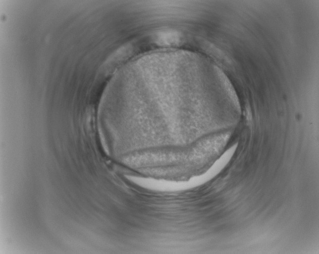 X0000069400233200606091749