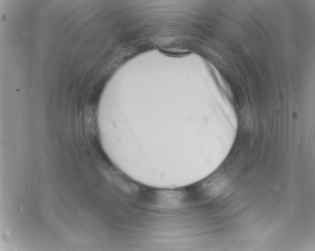 X0000069400234200606091749