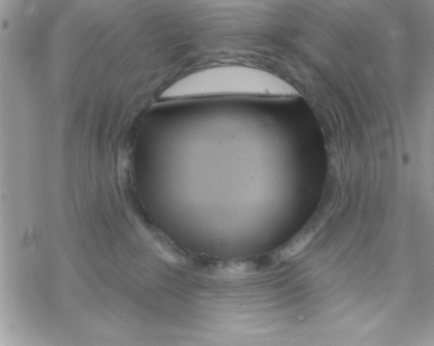 X0000069400235200606091749