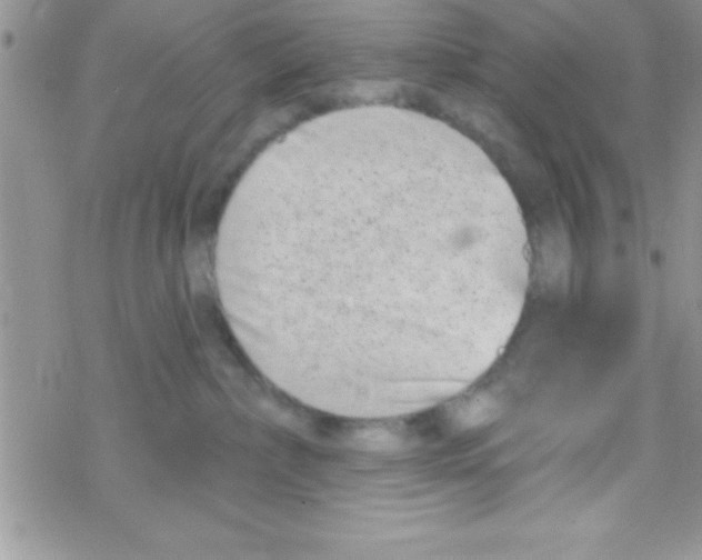 X0000069400236200606091749