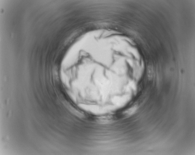 X0000069400238200606091749