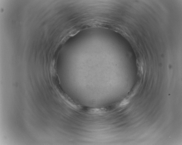 X0000069400239200606091749