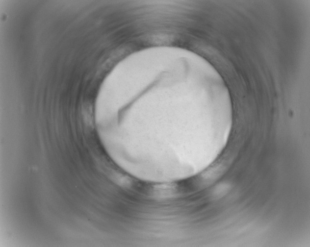 X0000069400240200606091749