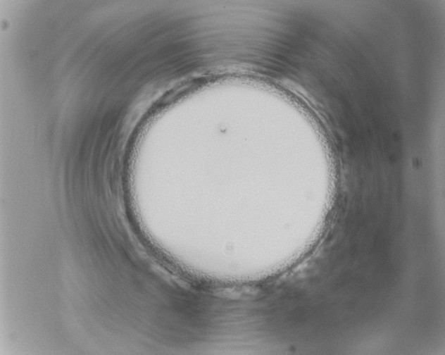 X0000069400241200606091748