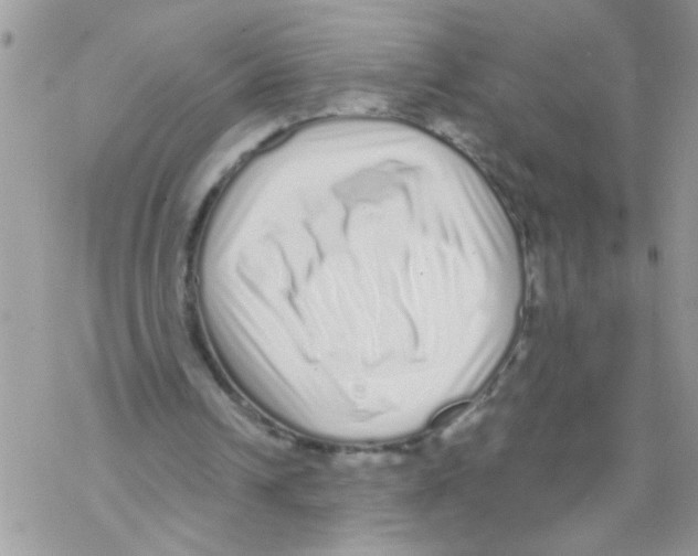 X0000069400242200606091748