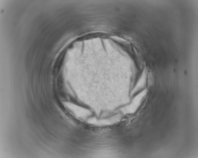 X0000069400243200606091748