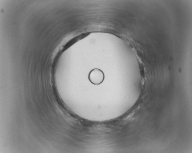 X0000069400244200606091748