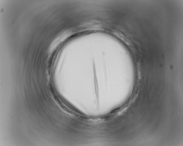 X0000069400245200606091748