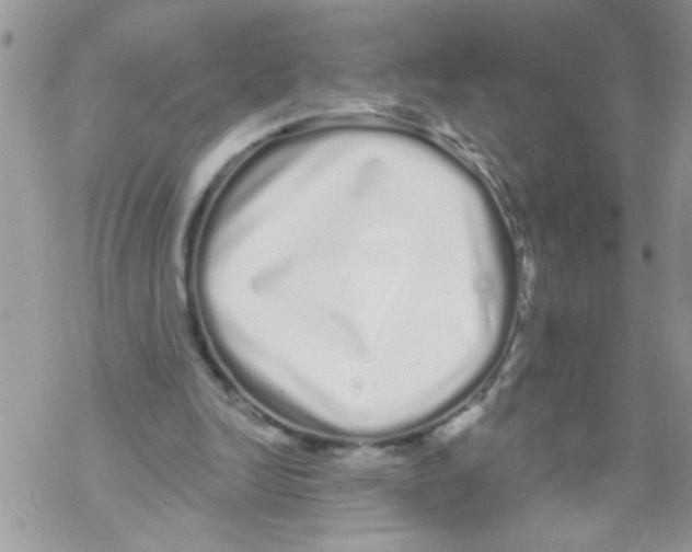 X0000069400246200606091748