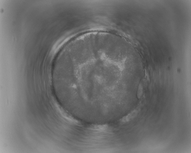 X0000069400247200606091748