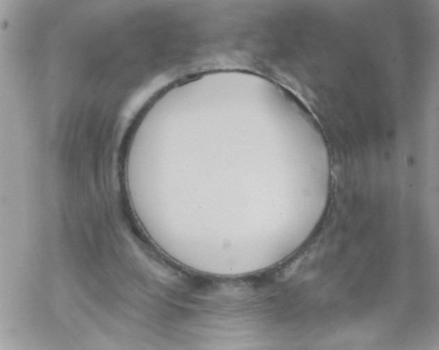 X0000069400248200606091748