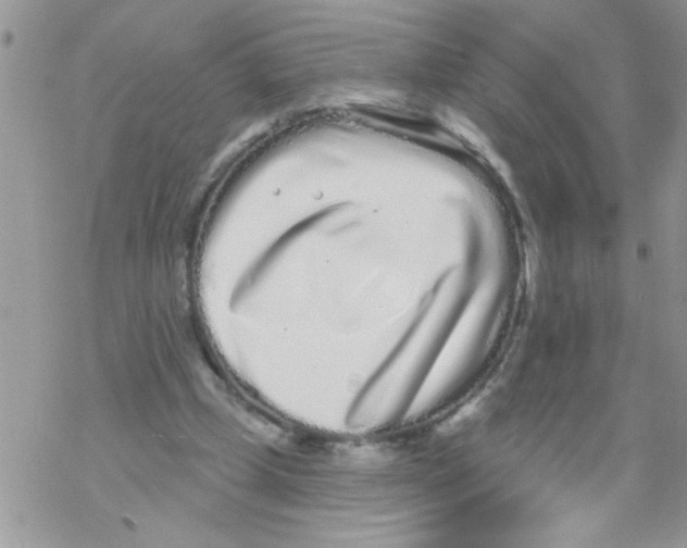 X0000069400249200606091749