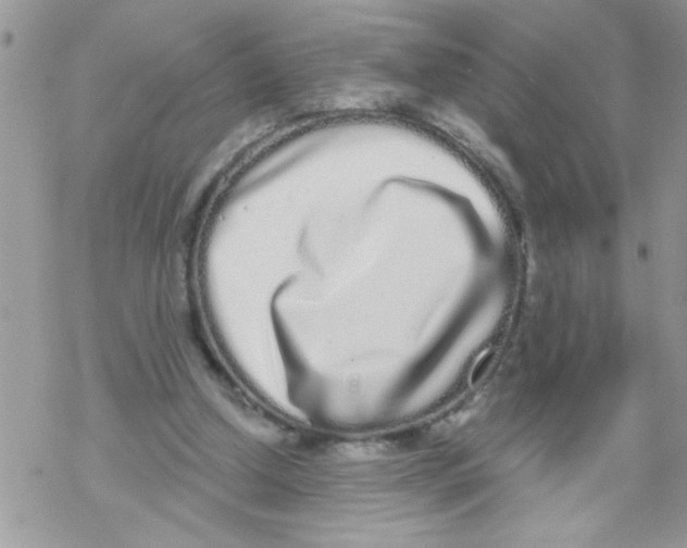 X0000069400250200606091749