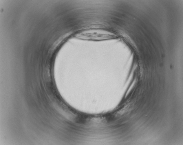 X0000069400251200606091749