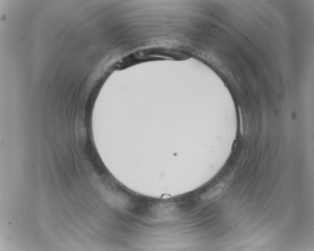 X0000069400252200606091749