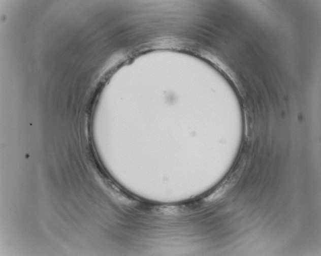 X0000069400253200606091749