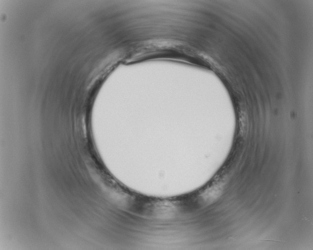 X0000069400254200606091749