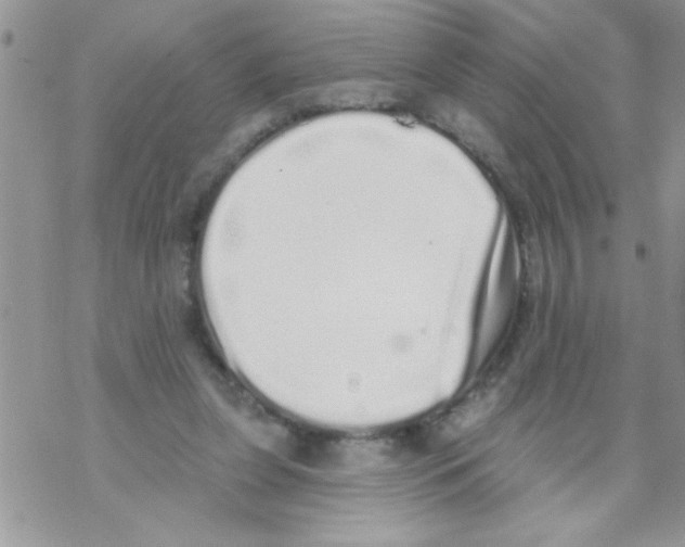 X0000069400255200606091749